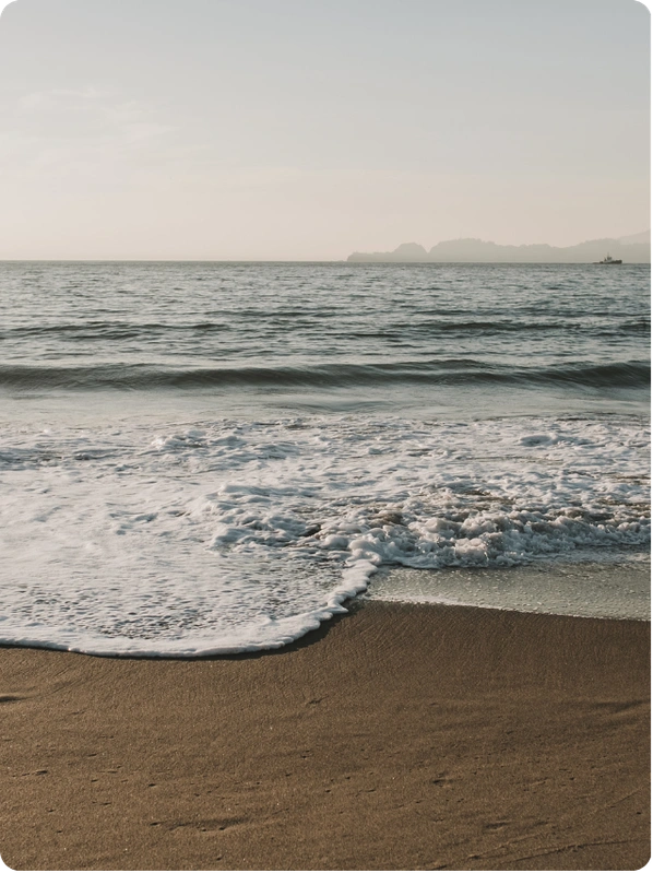 RARA Kew Interior View